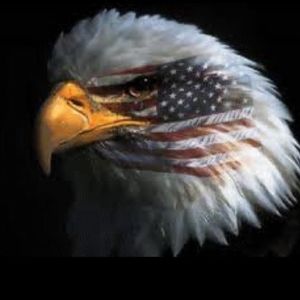 Meet your Posher, Neil